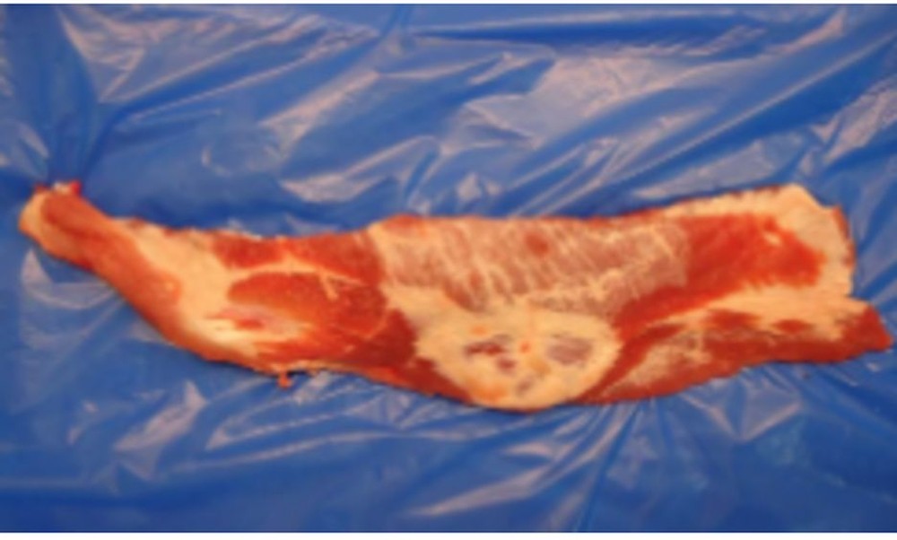 Frozen bulk pork rib tips - 30 lbs