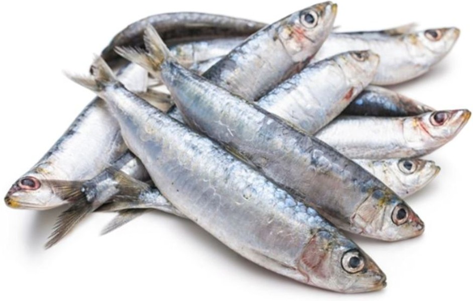Frozen Sardines, Medium - 2 lbs
