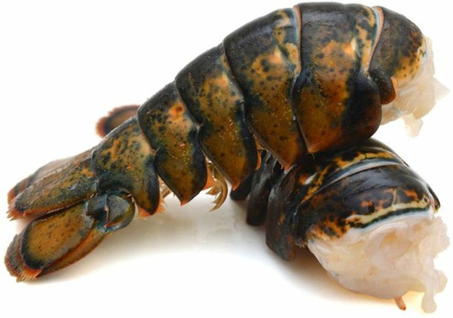 Frozen Cold-Water Lobster Tails, 4 oz each - 5 lbs