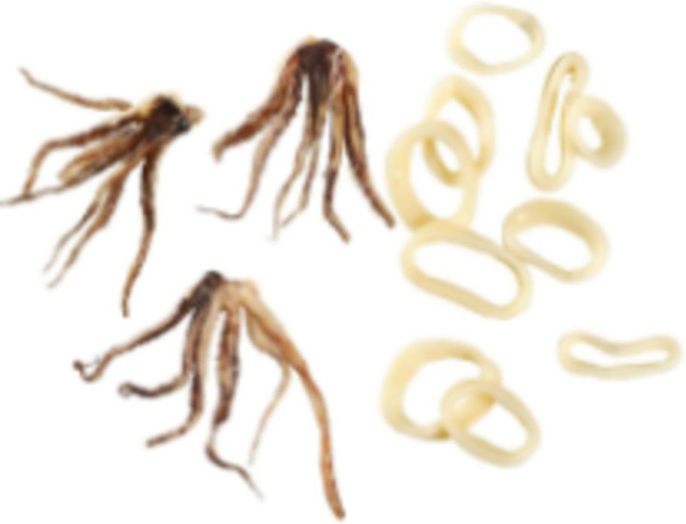 Squid Rings and Tentacles - 2.5lb