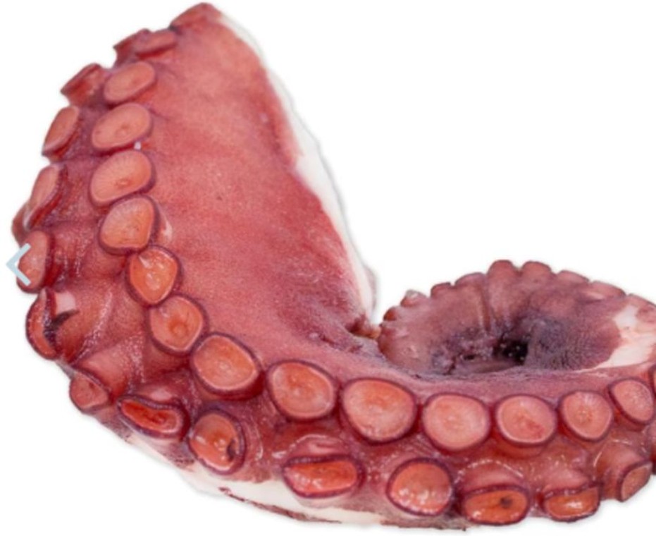 Cooked Octopus Legs 1.1 lb