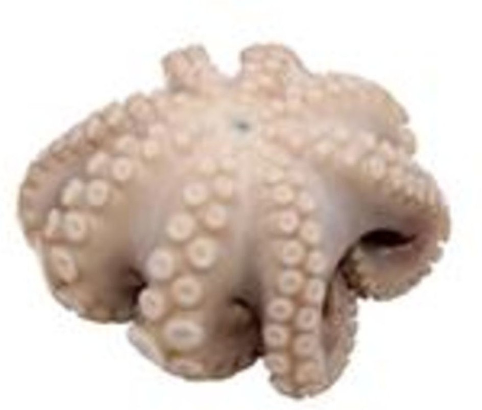 Frozen Octopus, Flower Pack T-5, 2.5-3 Lbs
