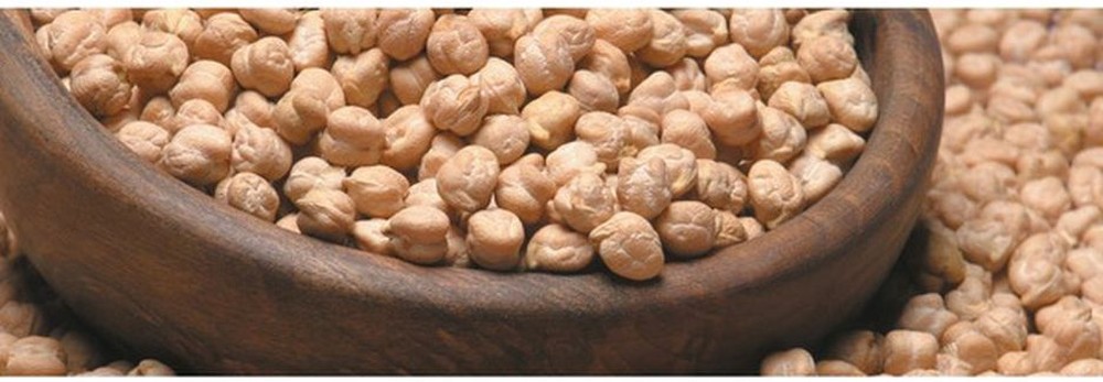 Chick Peas / Garbanzo Beans - 25 lbs