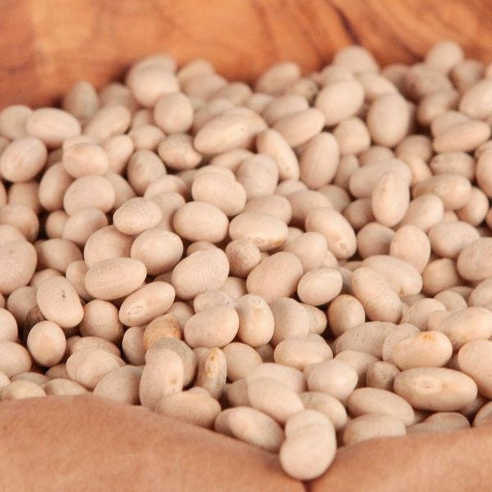 Navy Bean - 25 lb