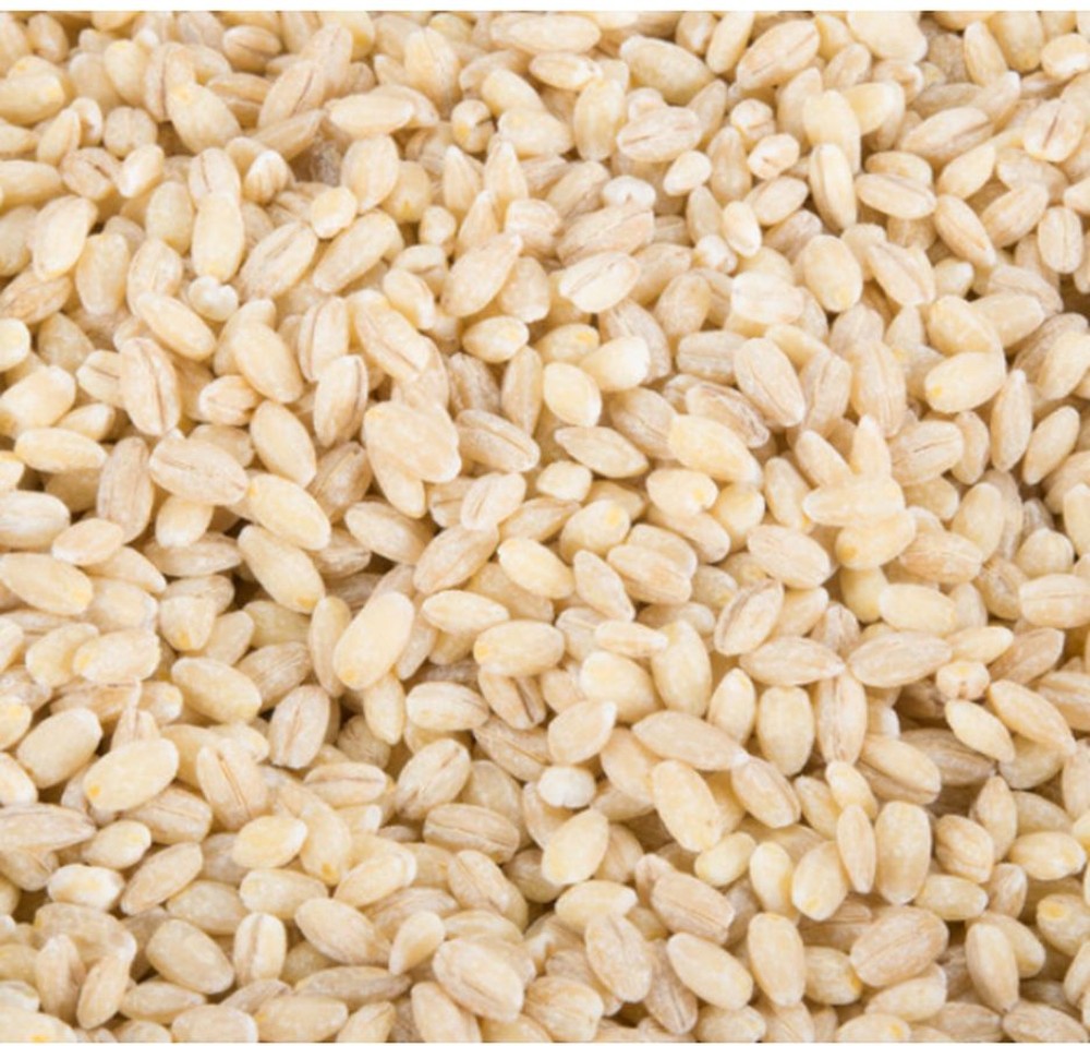 Pearl Barley - 25 lb