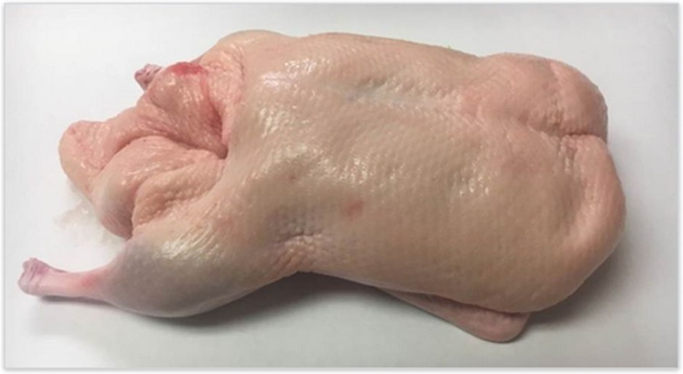 Frozen Whole Bone-In Duck, 5 lbs each