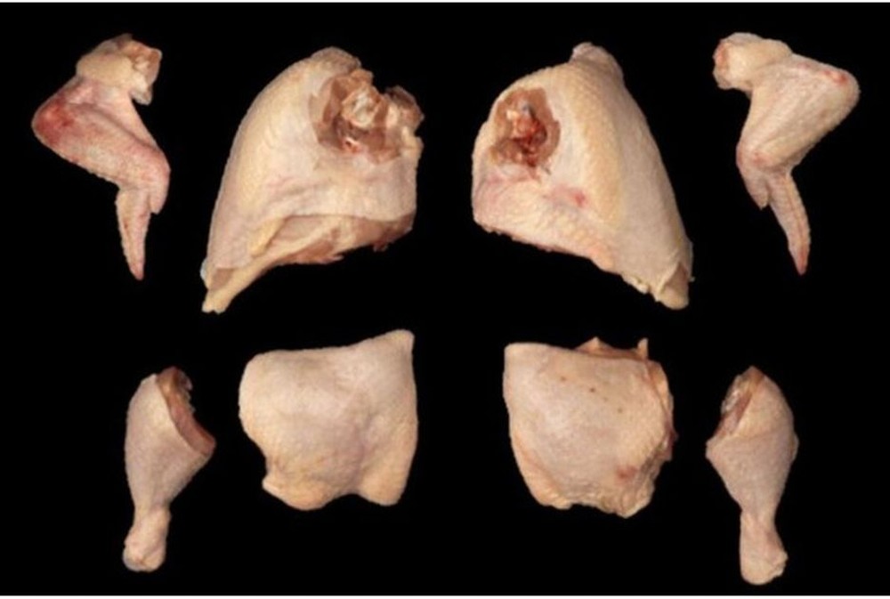 Frozen Chicken, 8-Piece Cut