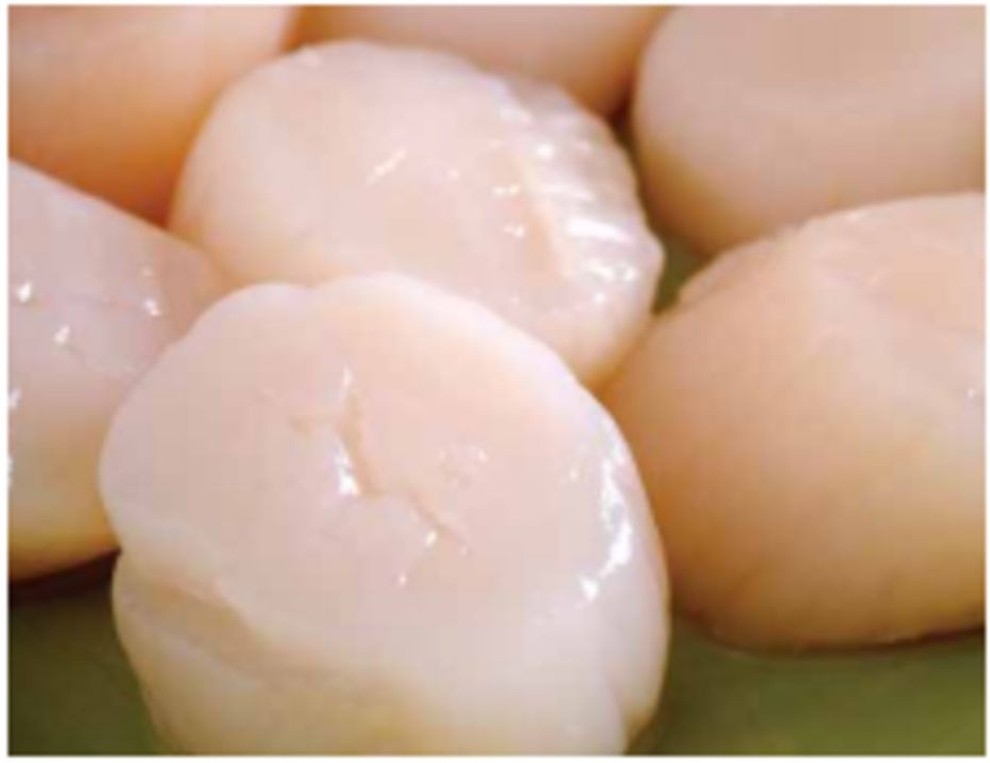 Bay Scallop, 80/120 - 5 lb
