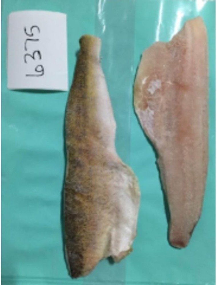 Walleye - 6/8 oz
