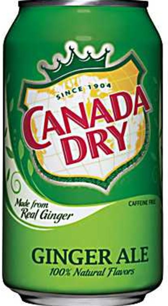 Ginger Ale - 24/12 oz cans