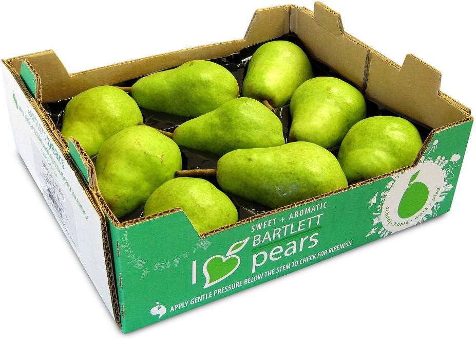 Bartlett Pear
