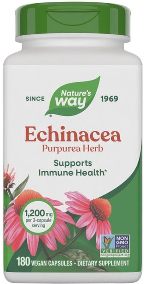 Echinacea