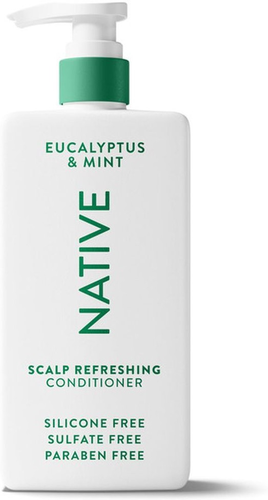 Shampoo & Conditioner, Eucalyptus & Mint, 2 in 1, Scalp Refreshing