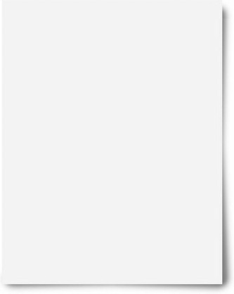 Economy Poster Board - White