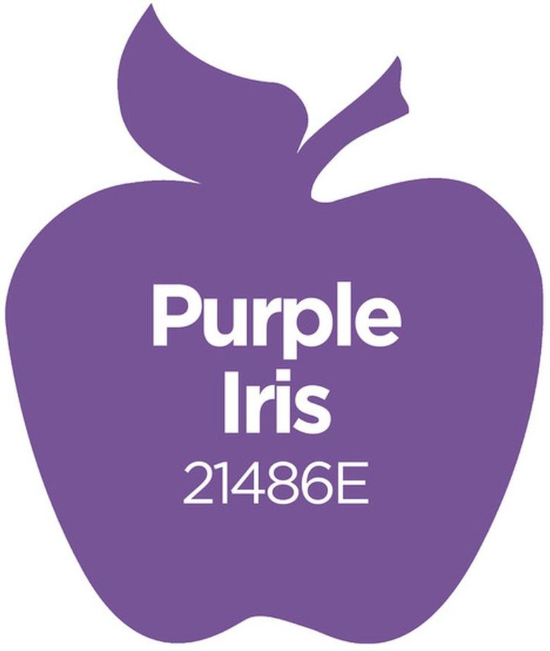 21486EX Purple Iris Matte Finish Acrylic Craft Paint